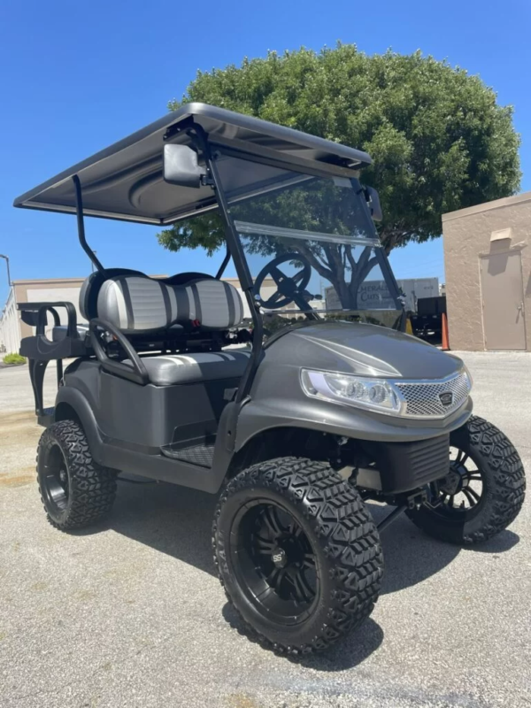 Buy 2019 Doubletake Phoenix Golf Cart