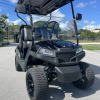2022 Vivid EV V4 Lithium Battery Golf Cart